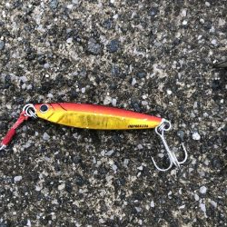 ライトショアジギング