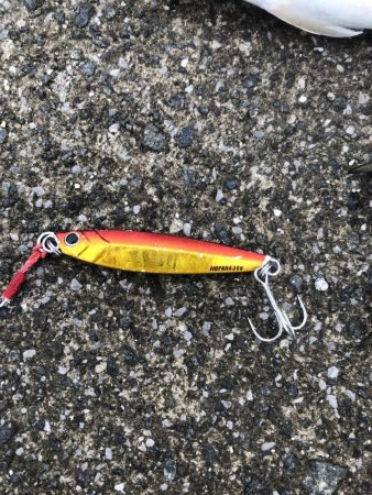 ライトショアジギング