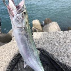 遂にやりました！