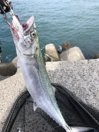 遂にやりました！