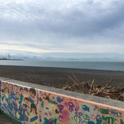 ショアジギング