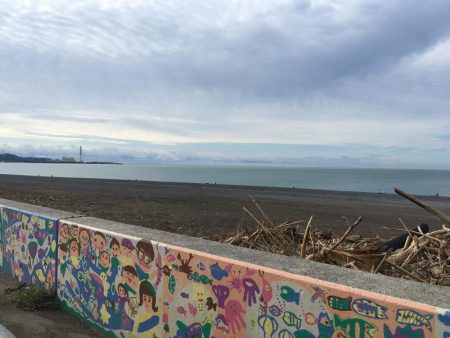 ショアジギング