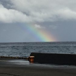 台風が来る前に!