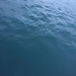 タッチ〜青物〜イカ