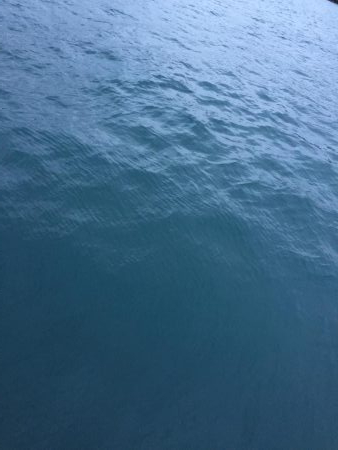 タッチ〜青物〜イカ