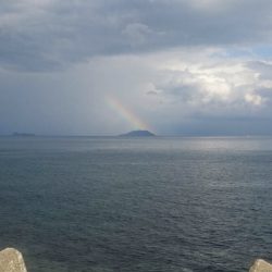 残暑厳しいエギング