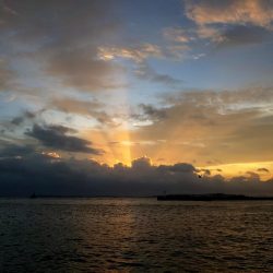 雨上がりエギング！