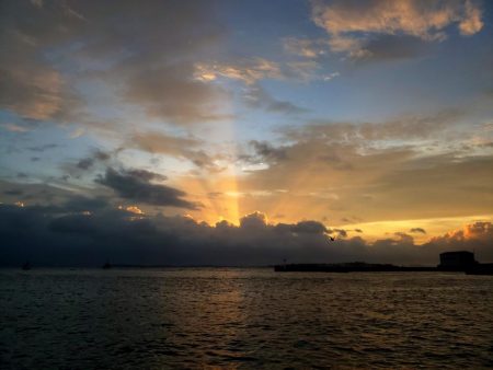 雨上がりエギング！