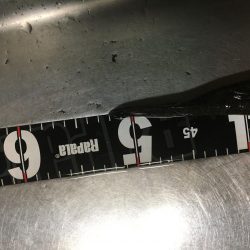 河川のマゴチ激アツ!