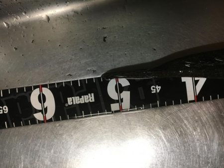 河川のマゴチ激アツ!