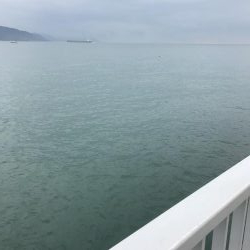 初大蔵海岸良い場所でした