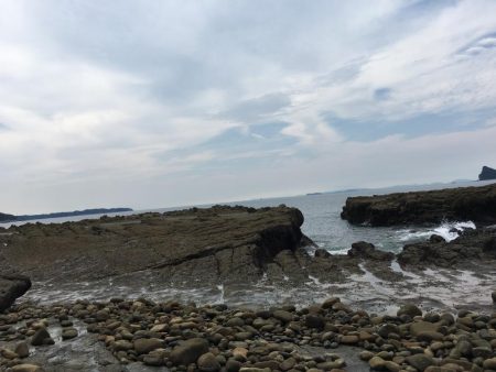 ネリゴがいない..