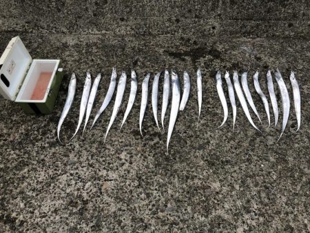 タチウオ釣り始めてみた