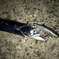 活性高いトップゲーム