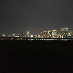 塚本橋下シーバスゲーム