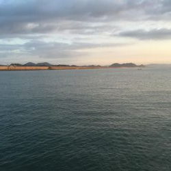 粟津導流堤でサゴシ