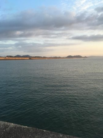 粟津導流堤でサゴシ