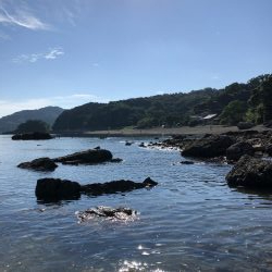 帰省釣行(津奈木町)最終日