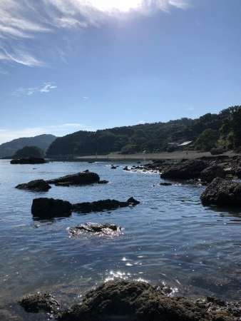 帰省釣行(津奈木町)最終日