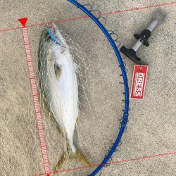 トップでドン！