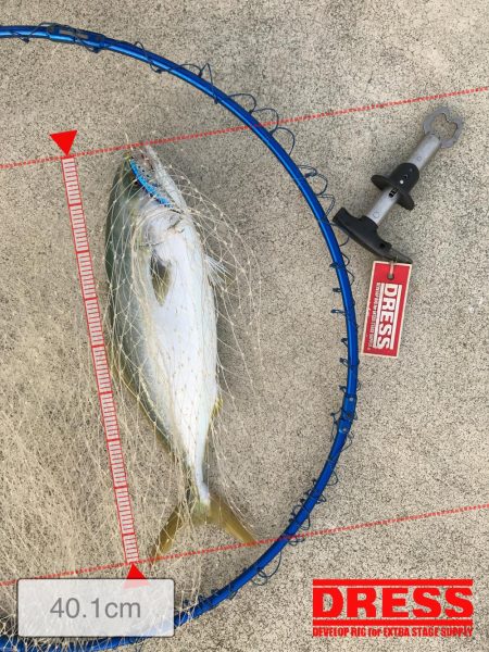 トップでドン！