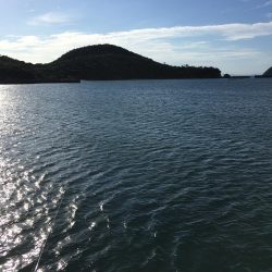 脳天フッキング