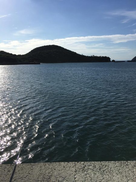 脳天フッキング