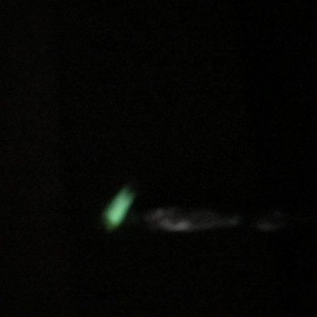 タチウオ ワインド