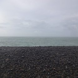 前回の当りを確認しに