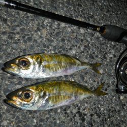 墨ぶっかけられ…