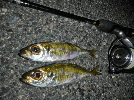 墨ぶっかけられ…