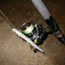 チャンスは逃さない。