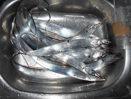 ジグパラサーフで色々と♪。