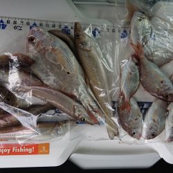 タチウオ釣り、キス釣り