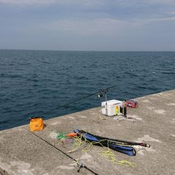 小浦一文字釣行