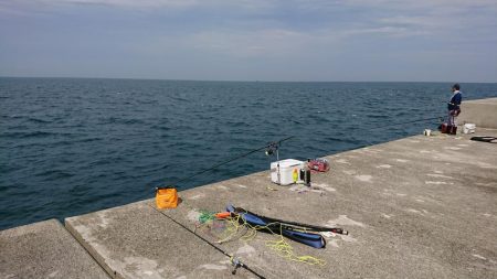 小浦一文字釣行