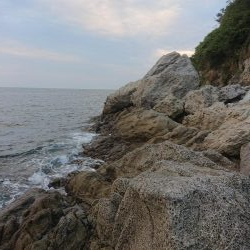 ロックフィッシュ