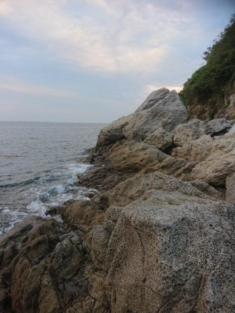 ロックフィッシュ