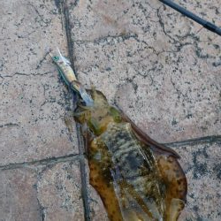 初めての釣り場で!