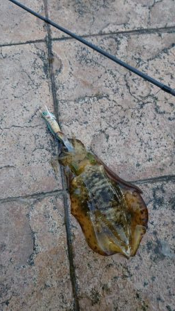 初めての釣り場で!