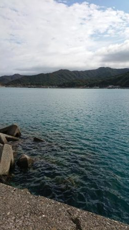 初めてのシオ！