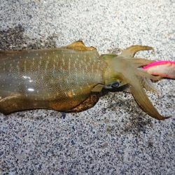 仕事終わり短時間