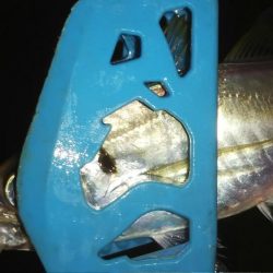 久々のアジング