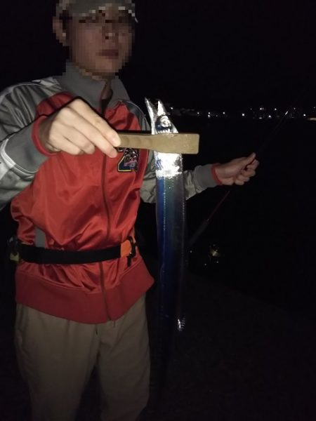 沼島でライトゲーム&ワインド太刀魚