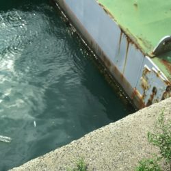 【門司港】五目調査