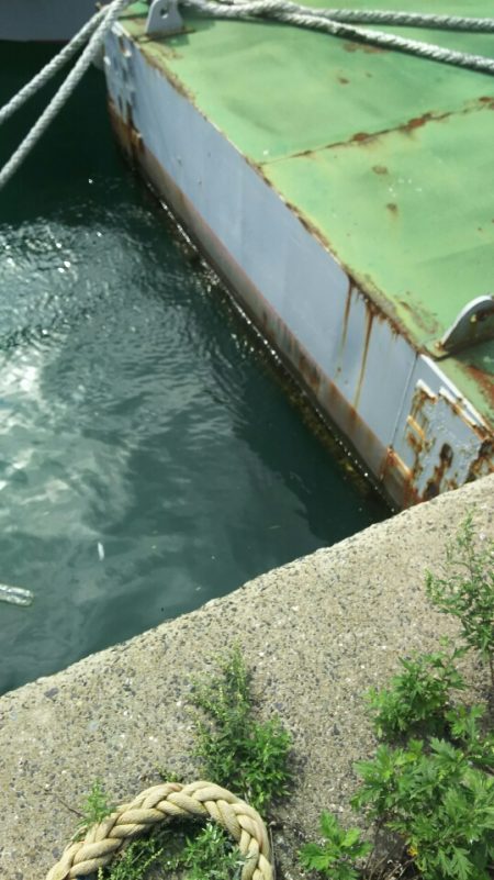 【門司港】五目調査