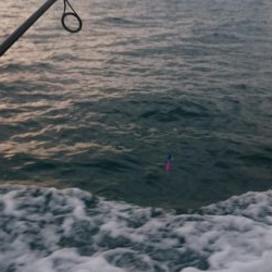 タチウオジギング