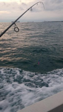 タチウオジギング