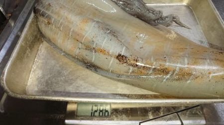 新子時期なのに。