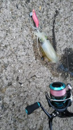 teamゲッソー調査隊